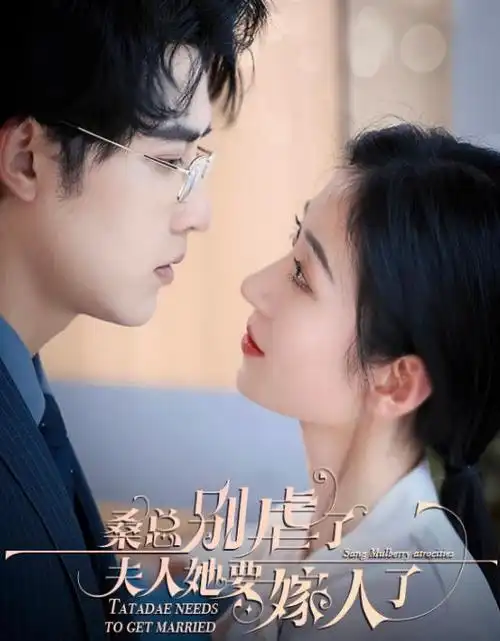 回声档案悬疑刑侦电视剧全集在线观看